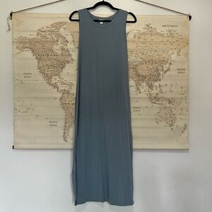 Cuyana Blue Sleeveless Dress